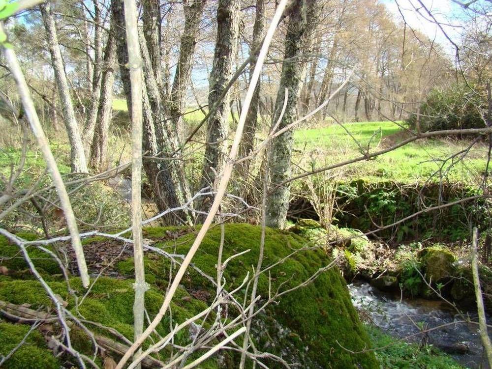 Gasthaus Quinta De Seves Covilhã Exterior foto