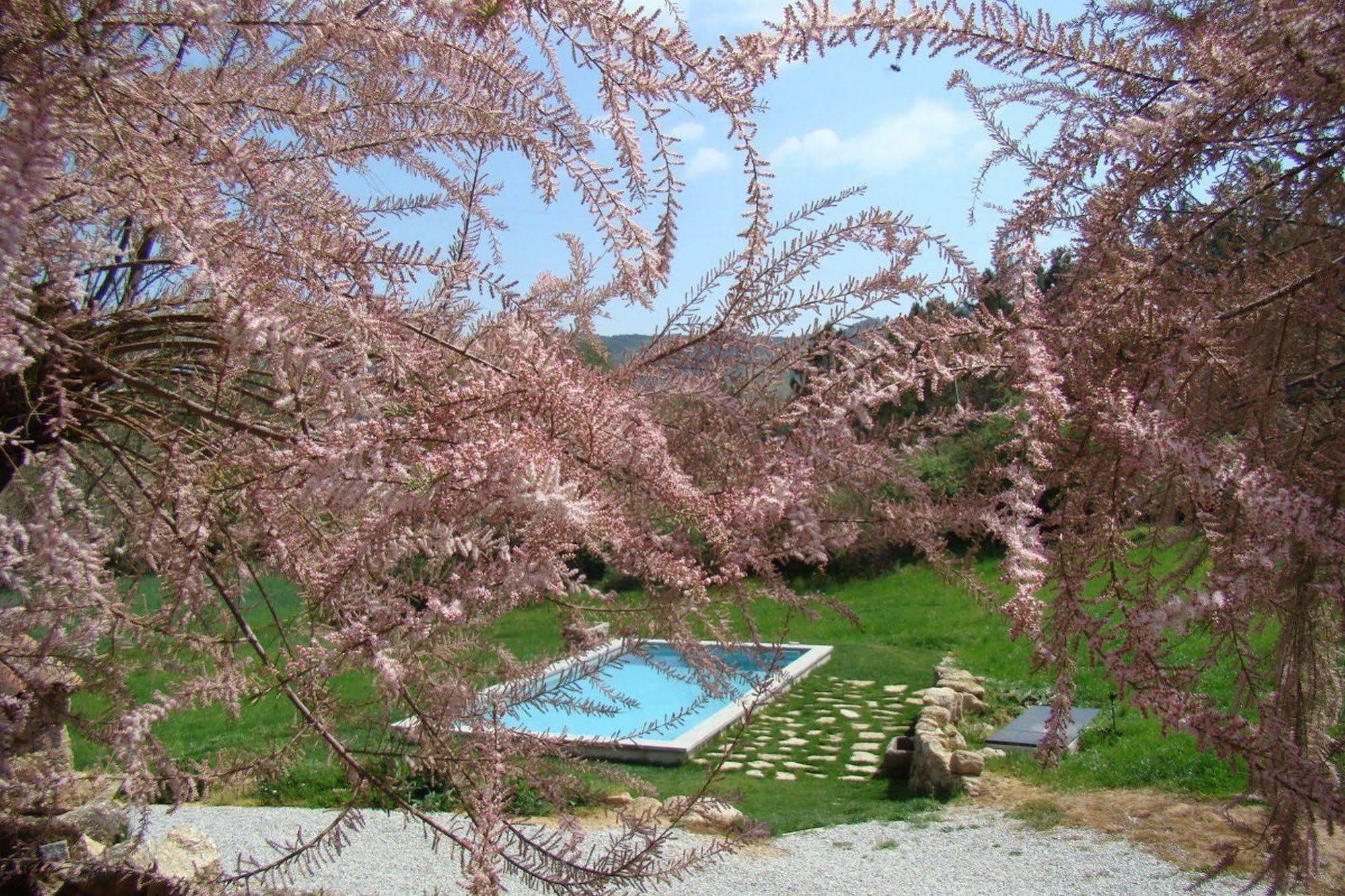 Gasthaus Quinta De Seves Covilhã Exterior foto